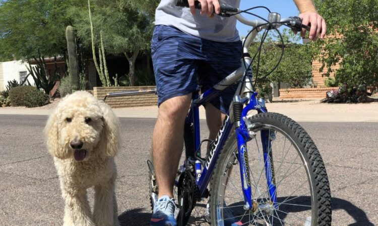 Biking with Your Dog